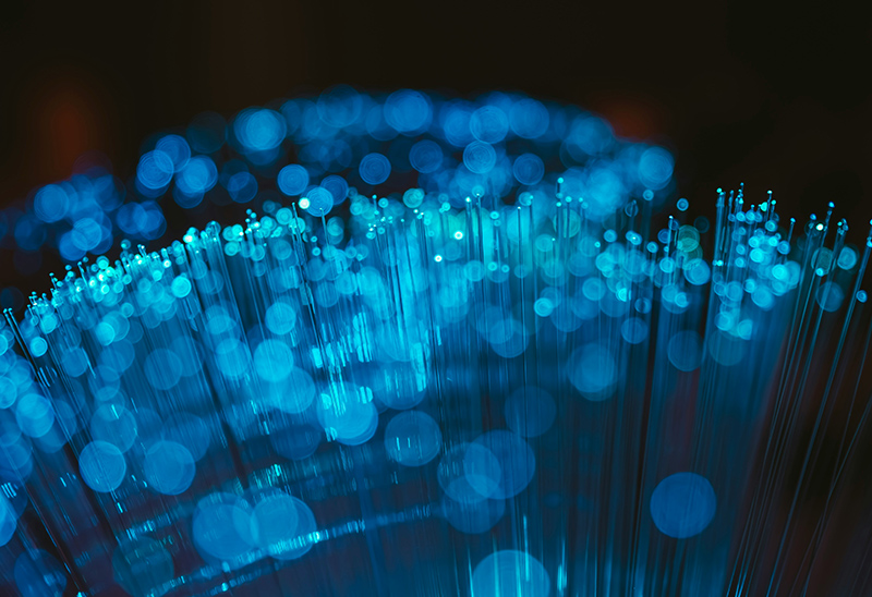 Risikominimierung interner und externer Bedrohungen durch Netzwerksicherheit und Firewalls